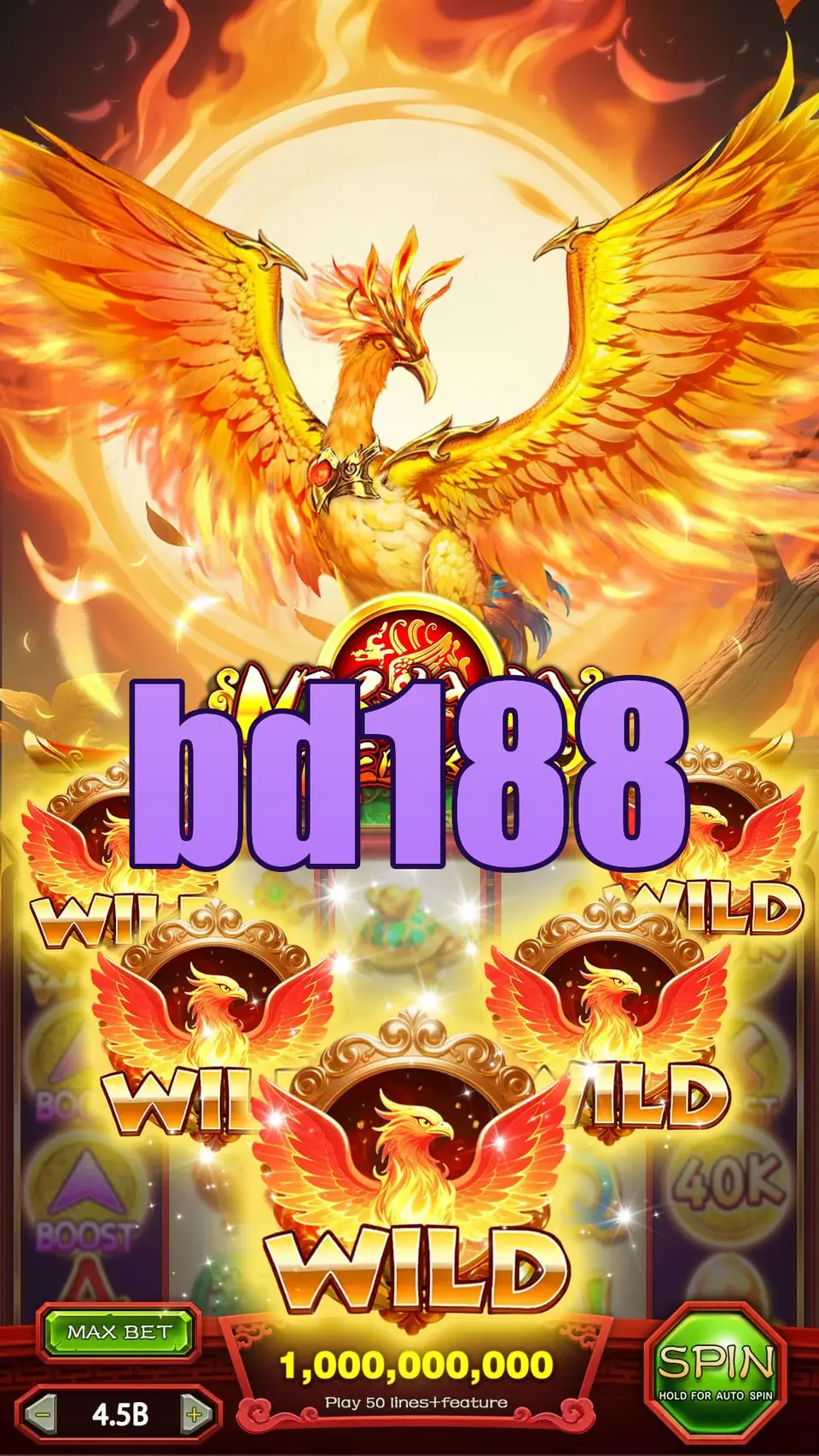 bd188 লগইন